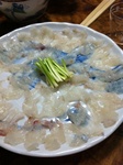 IMG_8261.jpg